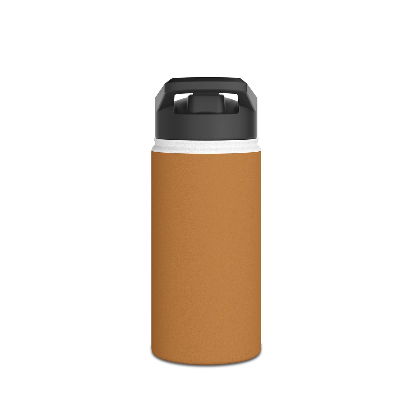 Stylish Stainless Steel Water Bottle (Eco-Friendly Hydration)