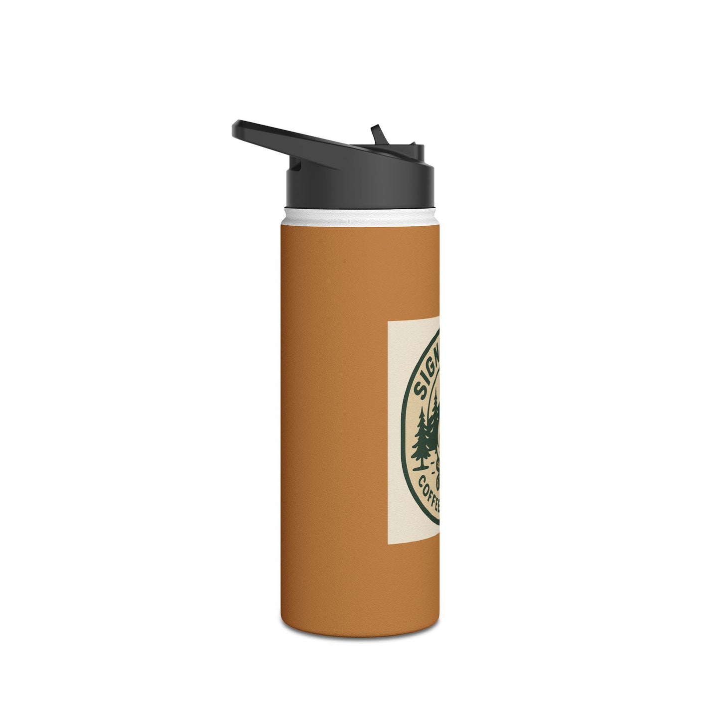 Stylish Stainless Steel Water Bottle (Eco-Friendly Hydration)